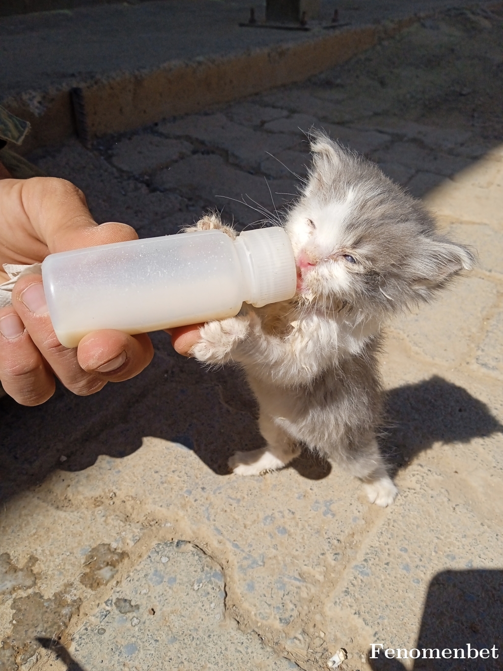 Sultan4701 tarafından paylaşıldı