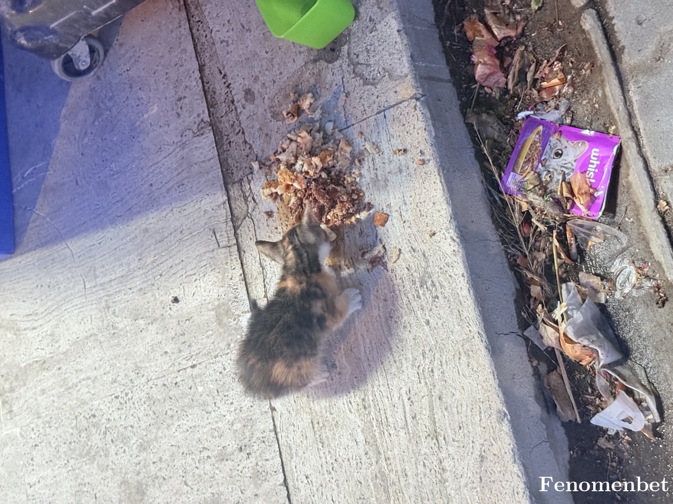 Papa1606 tarafından paylaşıldı