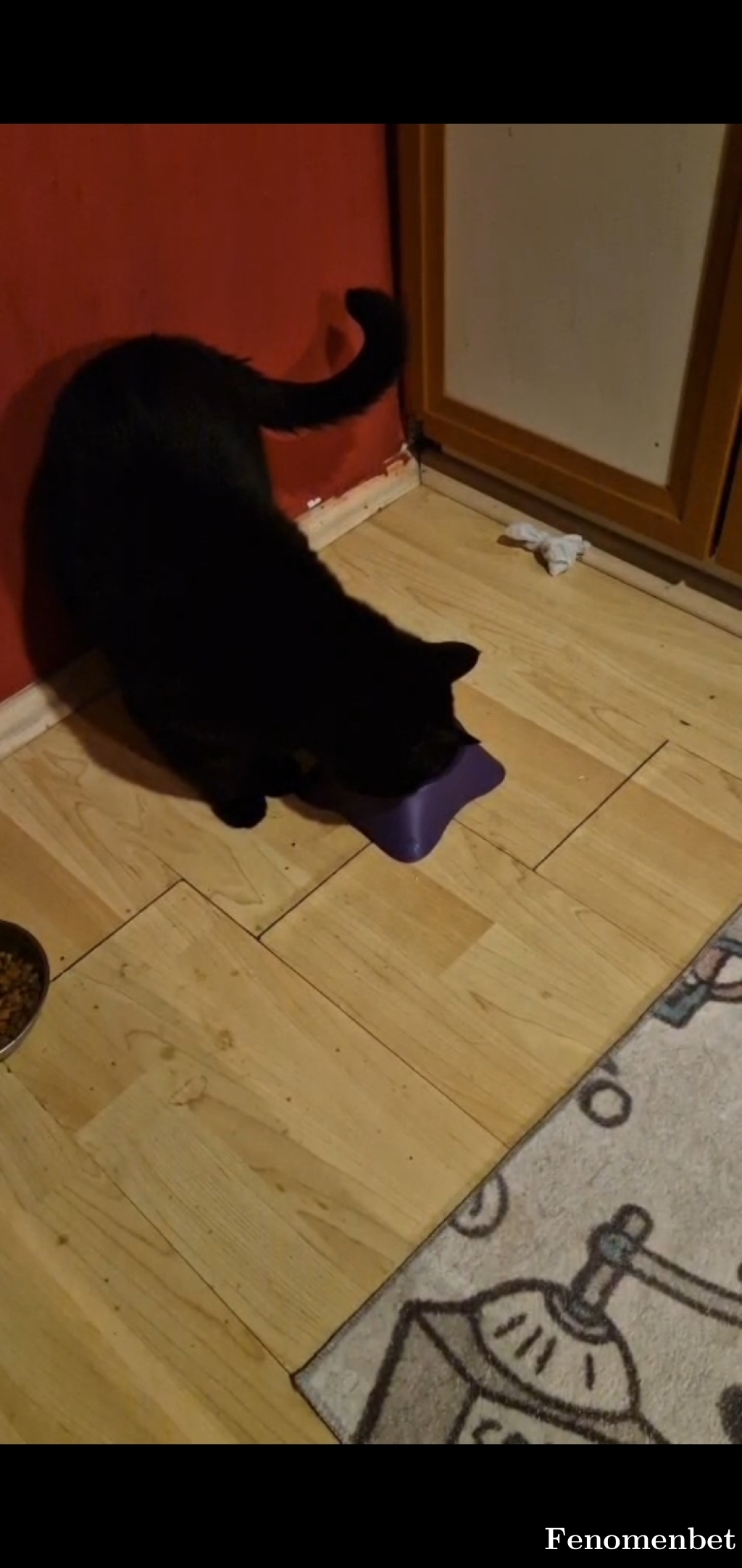 neronbjk tarafından paylaşıldı