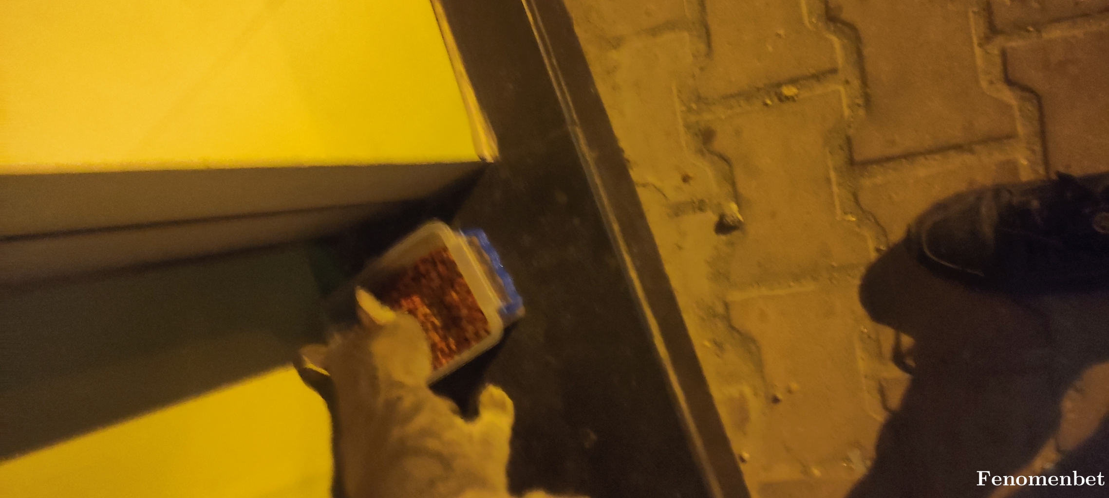 Golgem07 tarafından paylaşıldı