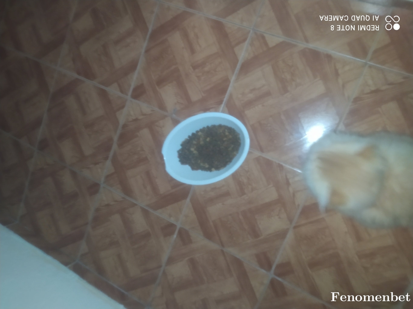 Tolinay3535 tarafından paylaşıldı