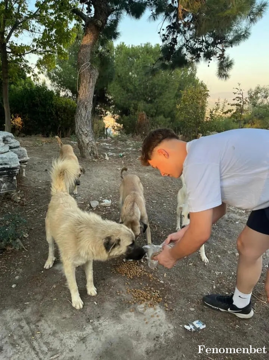 Kuscu1666 tarafından paylaşıldı