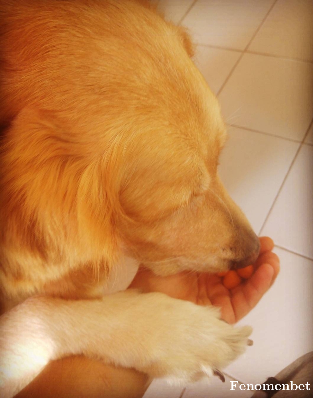 bardal191235 tarafından paylaşıldı