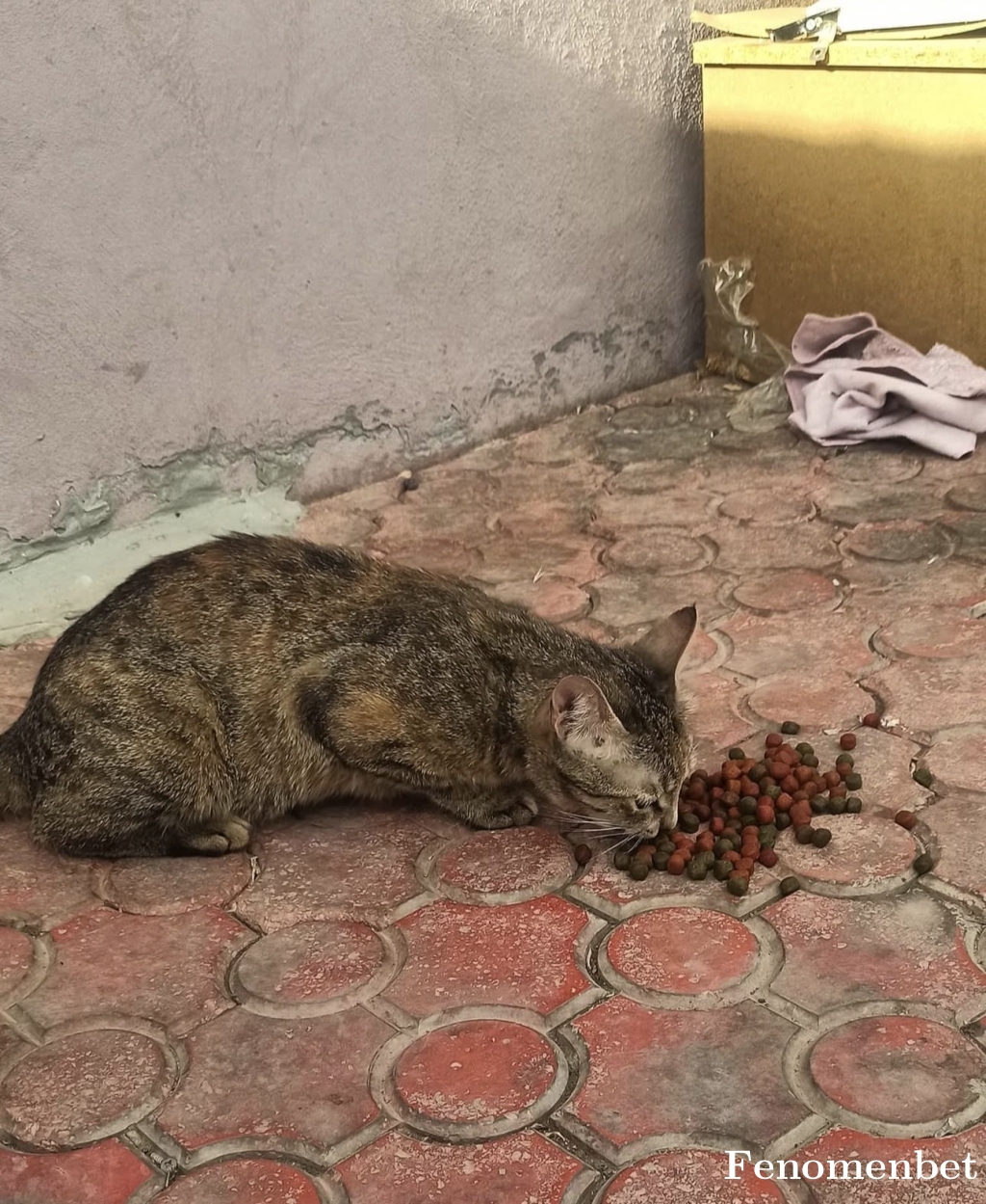 nurullahuls tarafından paylaşıldı