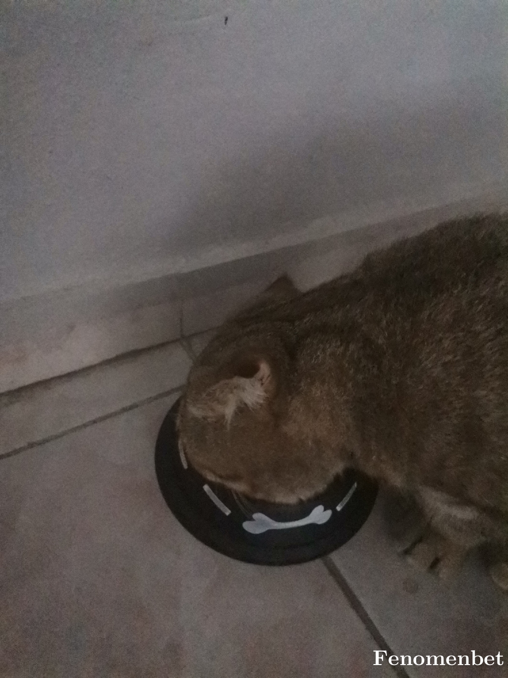 Karacocuk0103 tarafından paylaşıldı