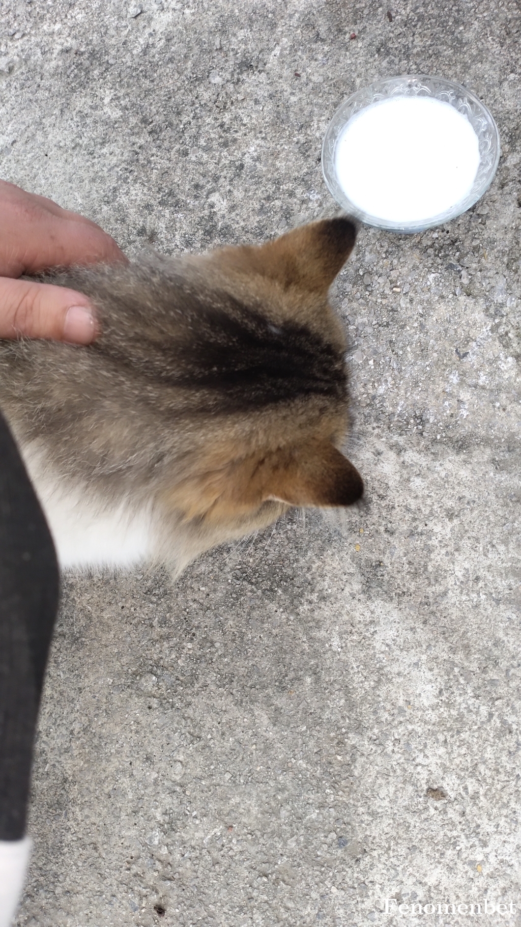 Teksas1983 tarafından paylaşıldı