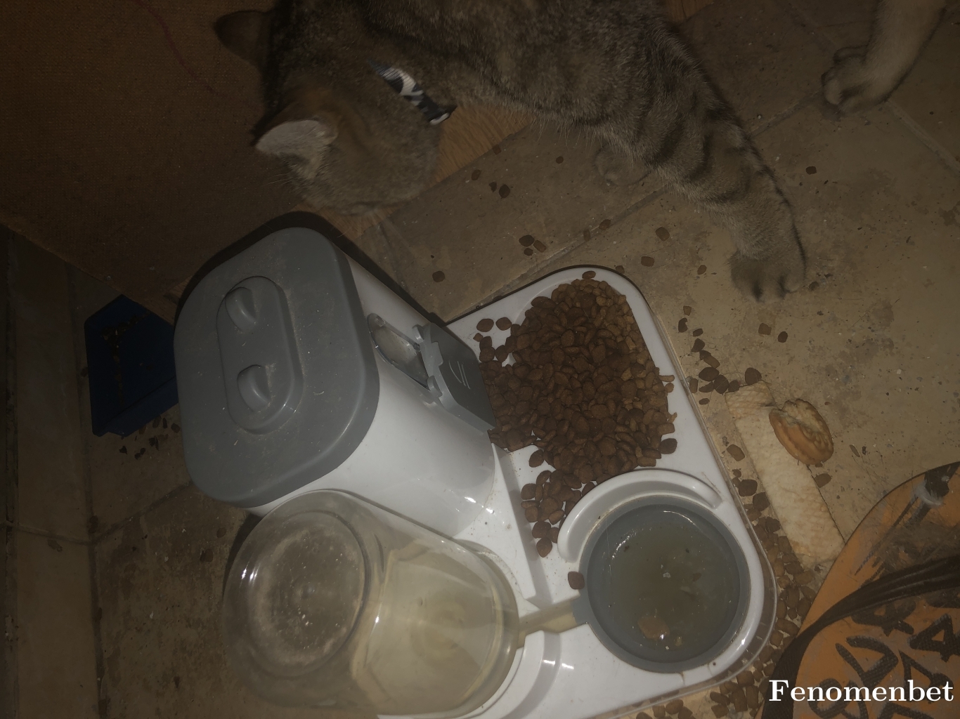 Serretee tarafından paylaşıldı