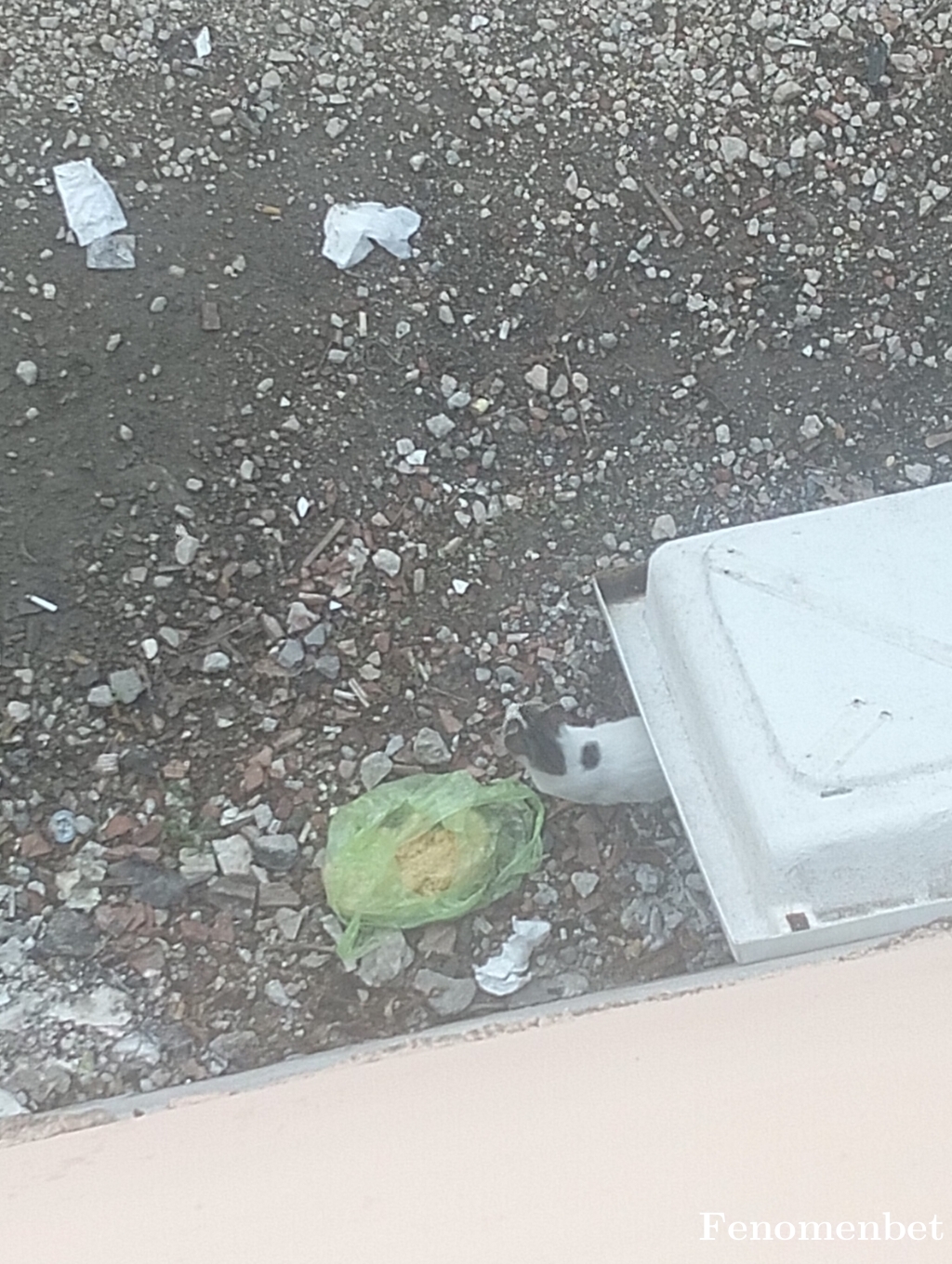 Aslan9000 tarafından paylaşıldı