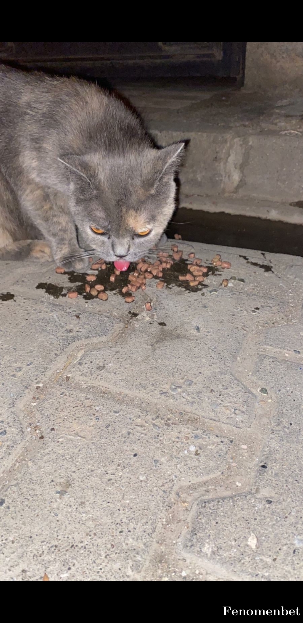 Meryem5516 tarafından paylaşıldı