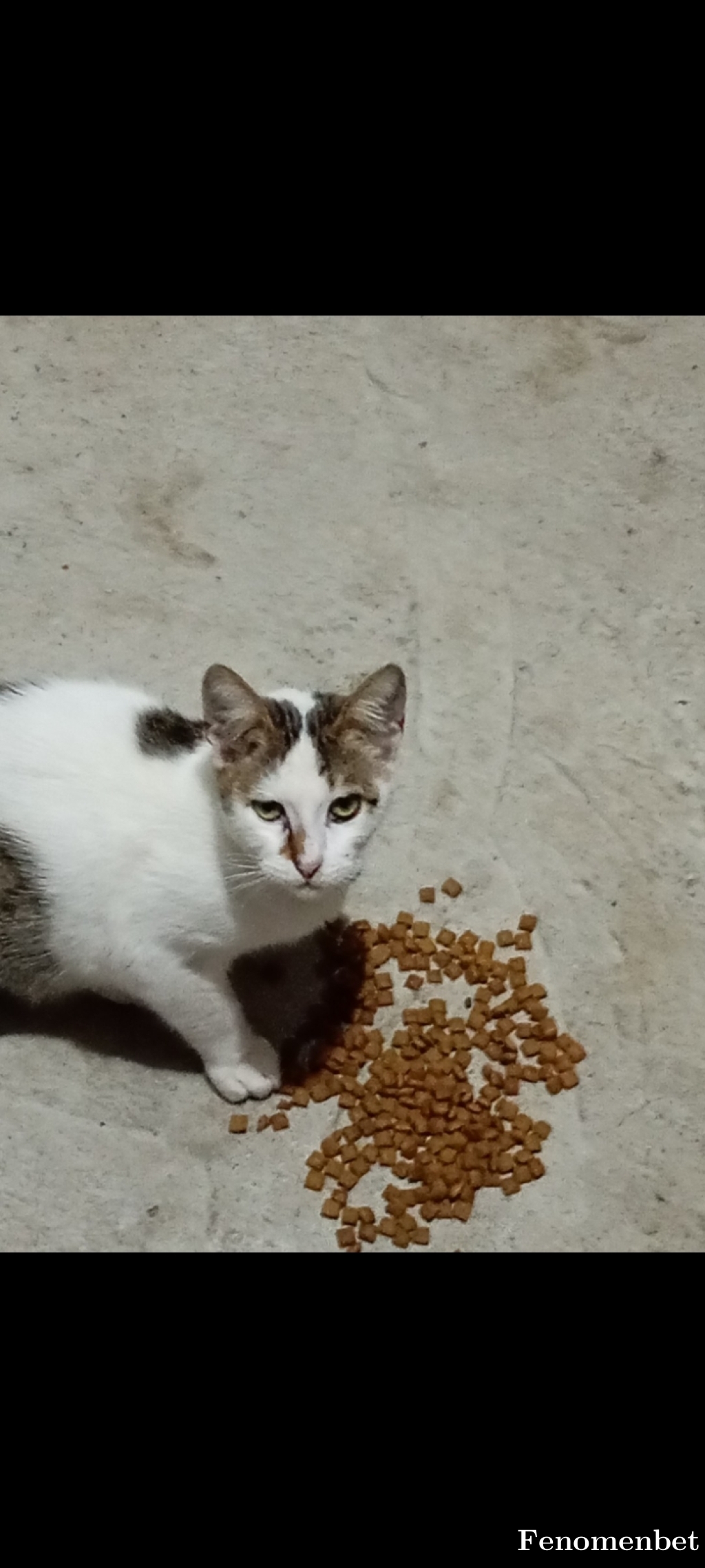 Calender1 tarafından paylaşıldı