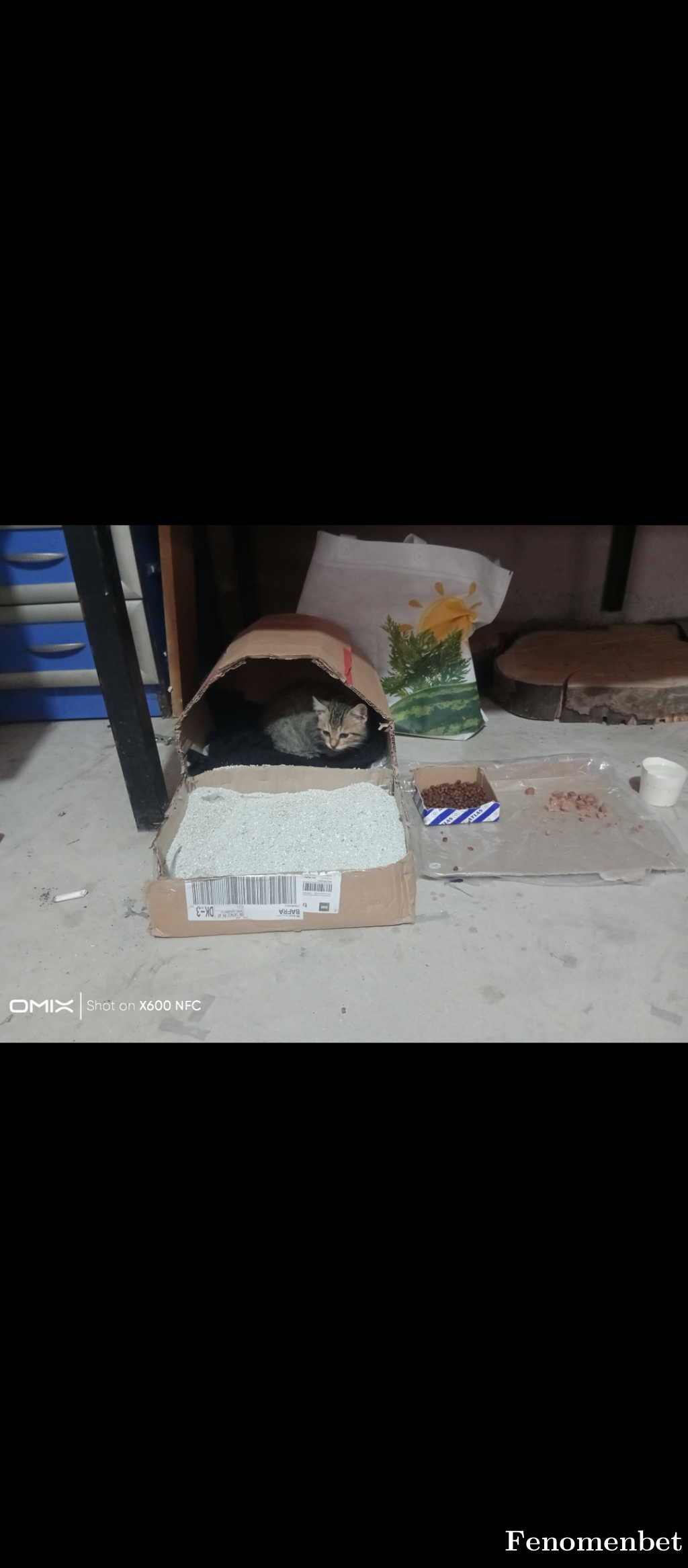 Turgay3455 tarafından paylaşıldı