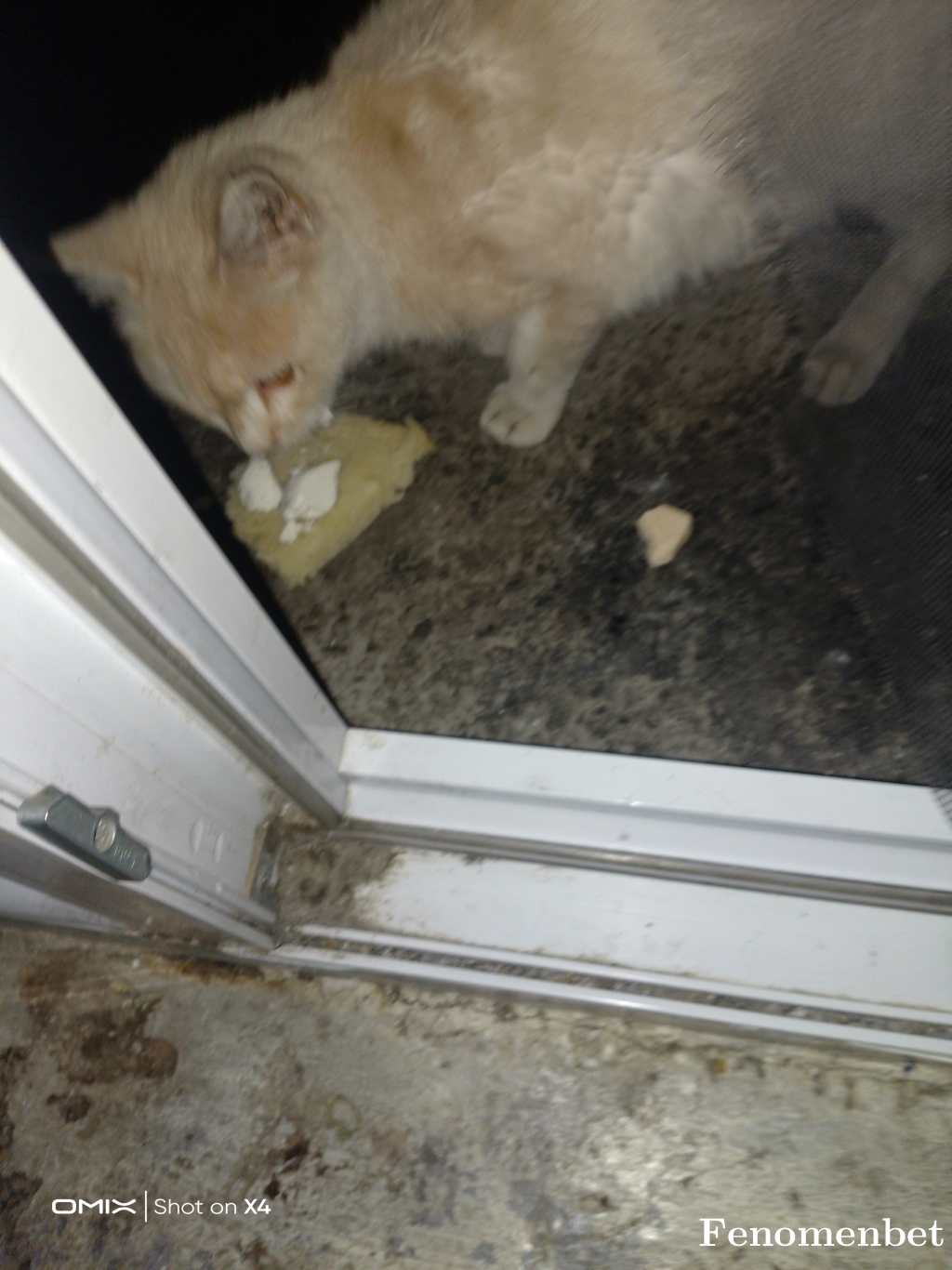 iso0303 tarafından paylaşıldı