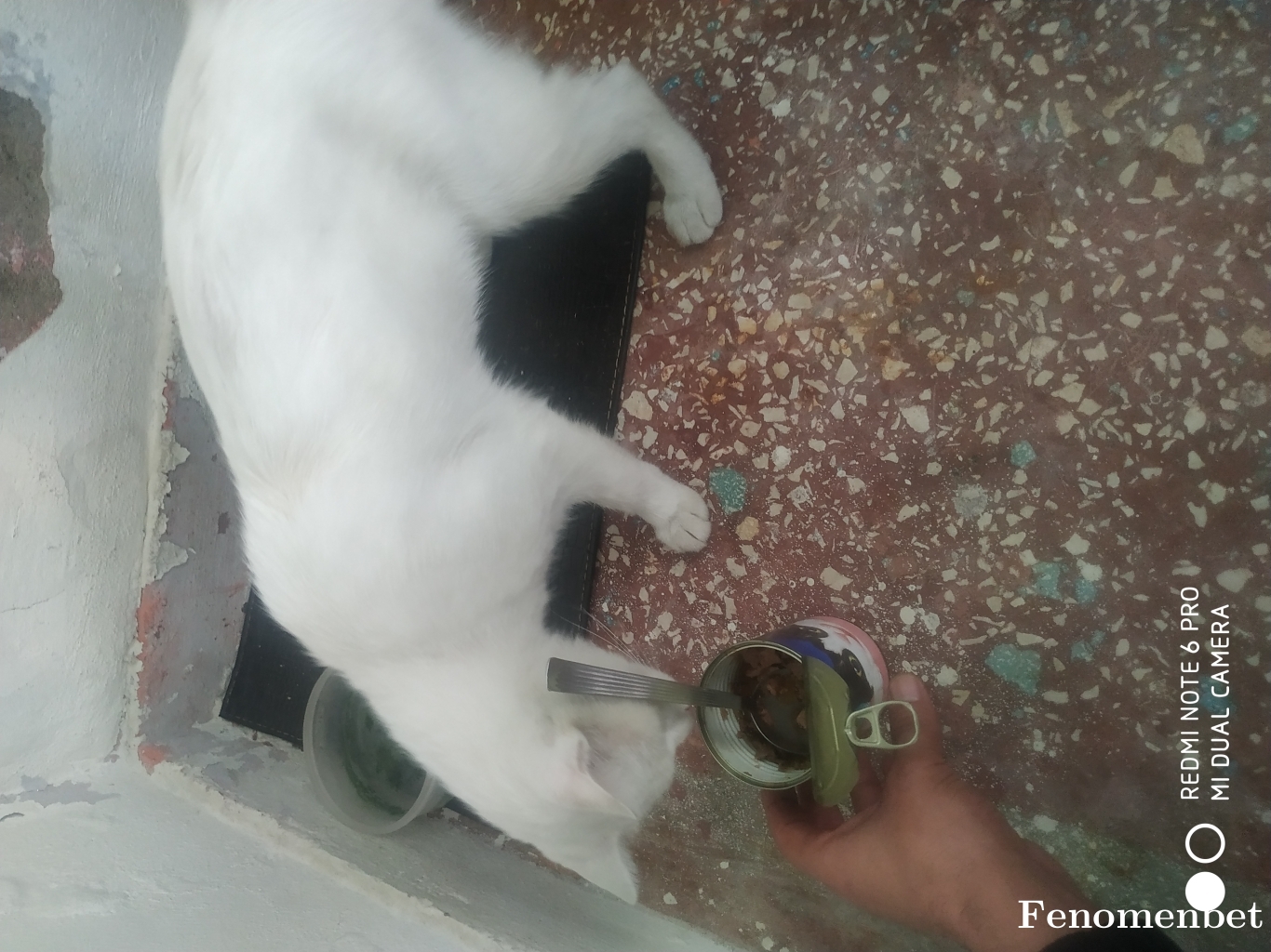 Bextocan tarafından paylaşıldı