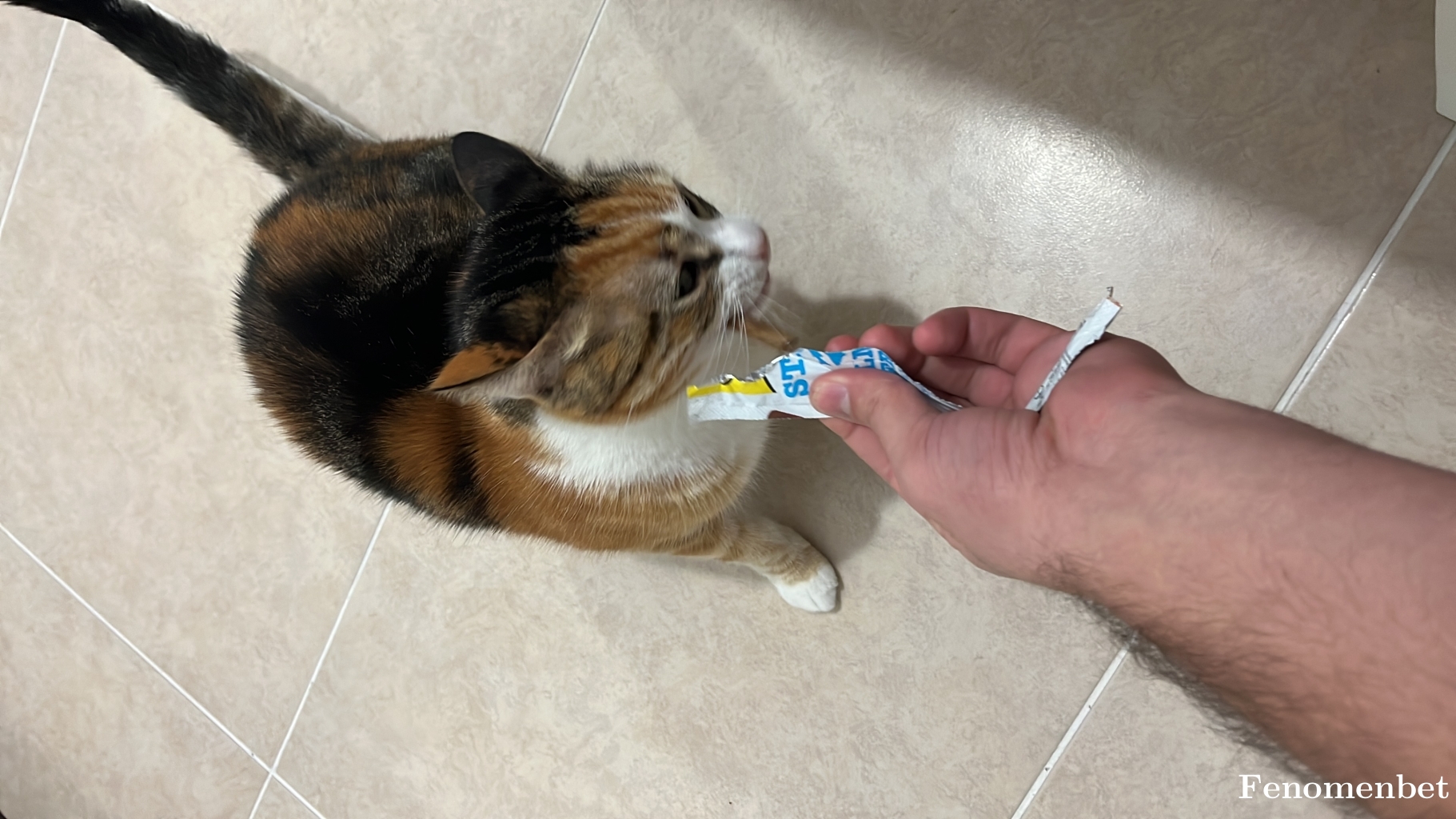 Burak095 tarafından paylaşıldı