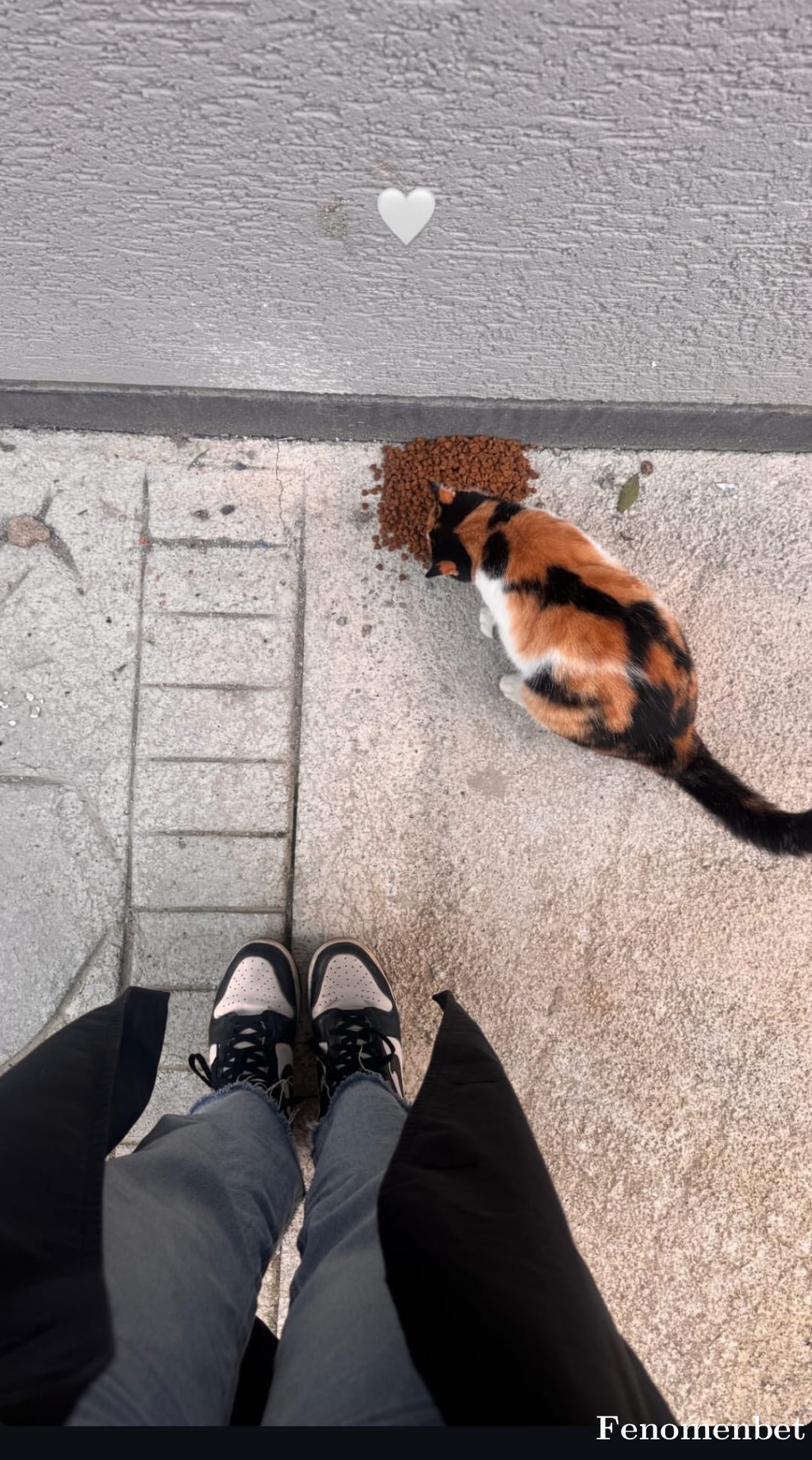 Erlgns54 tarafından paylaşıldı