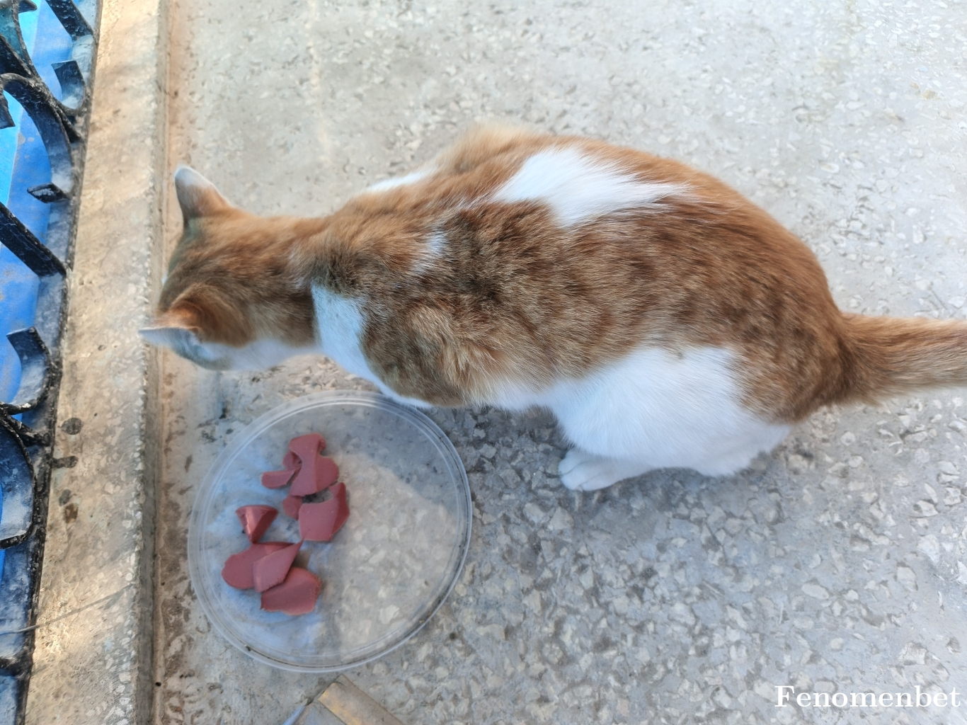 baybars0244 tarafından paylaşıldı