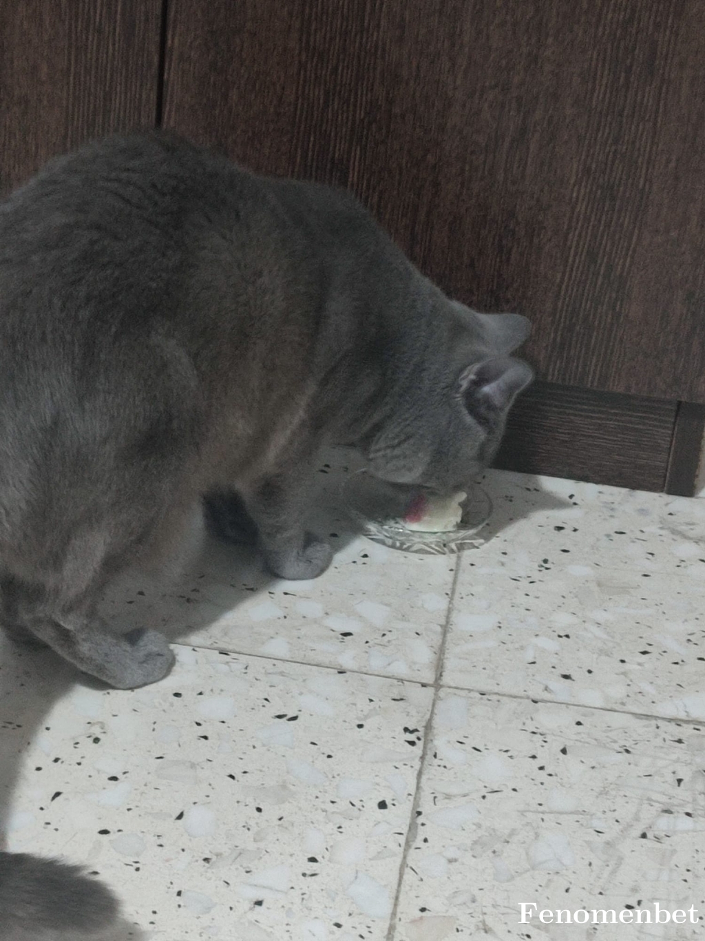 Lawri tarafından paylaşıldı