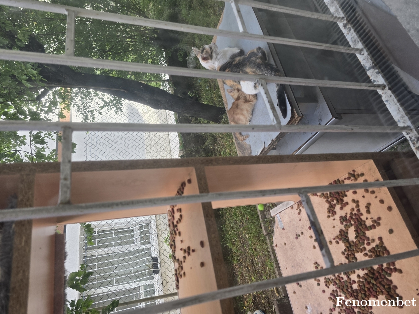 Kalamar123 tarafından paylaşıldı