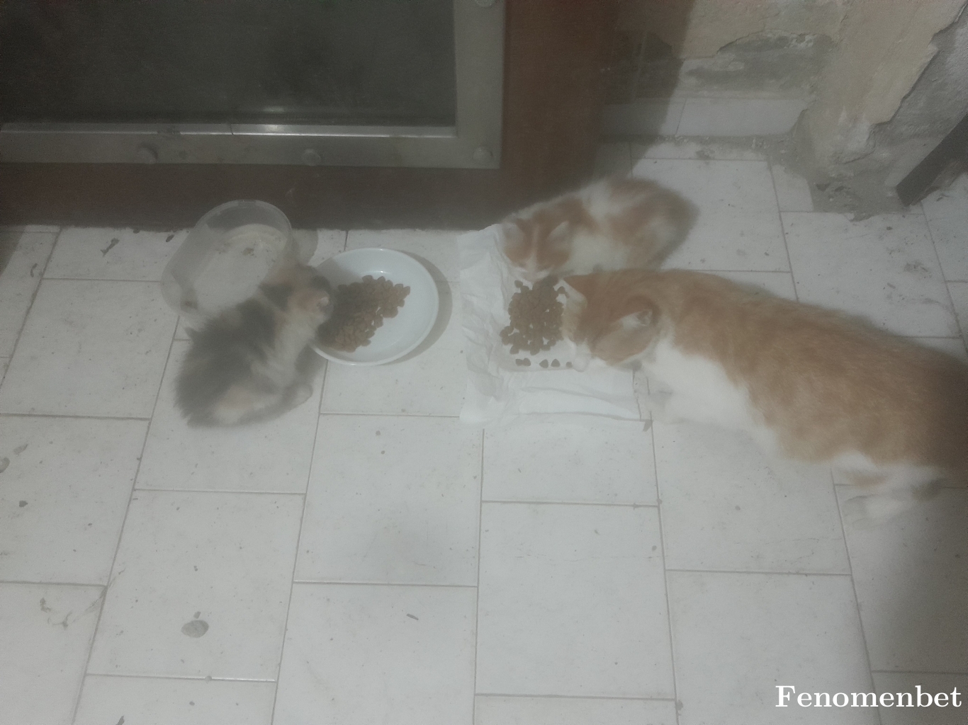 LaStrada tarafından paylaşıldı