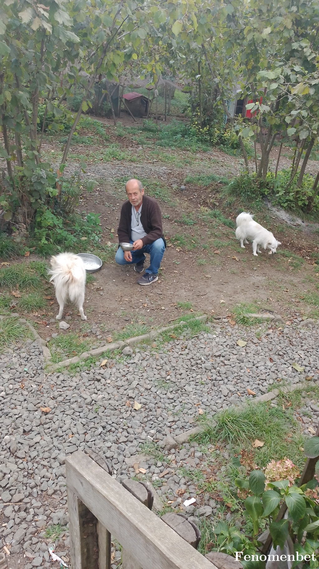 61korona tarafından paylaşıldı