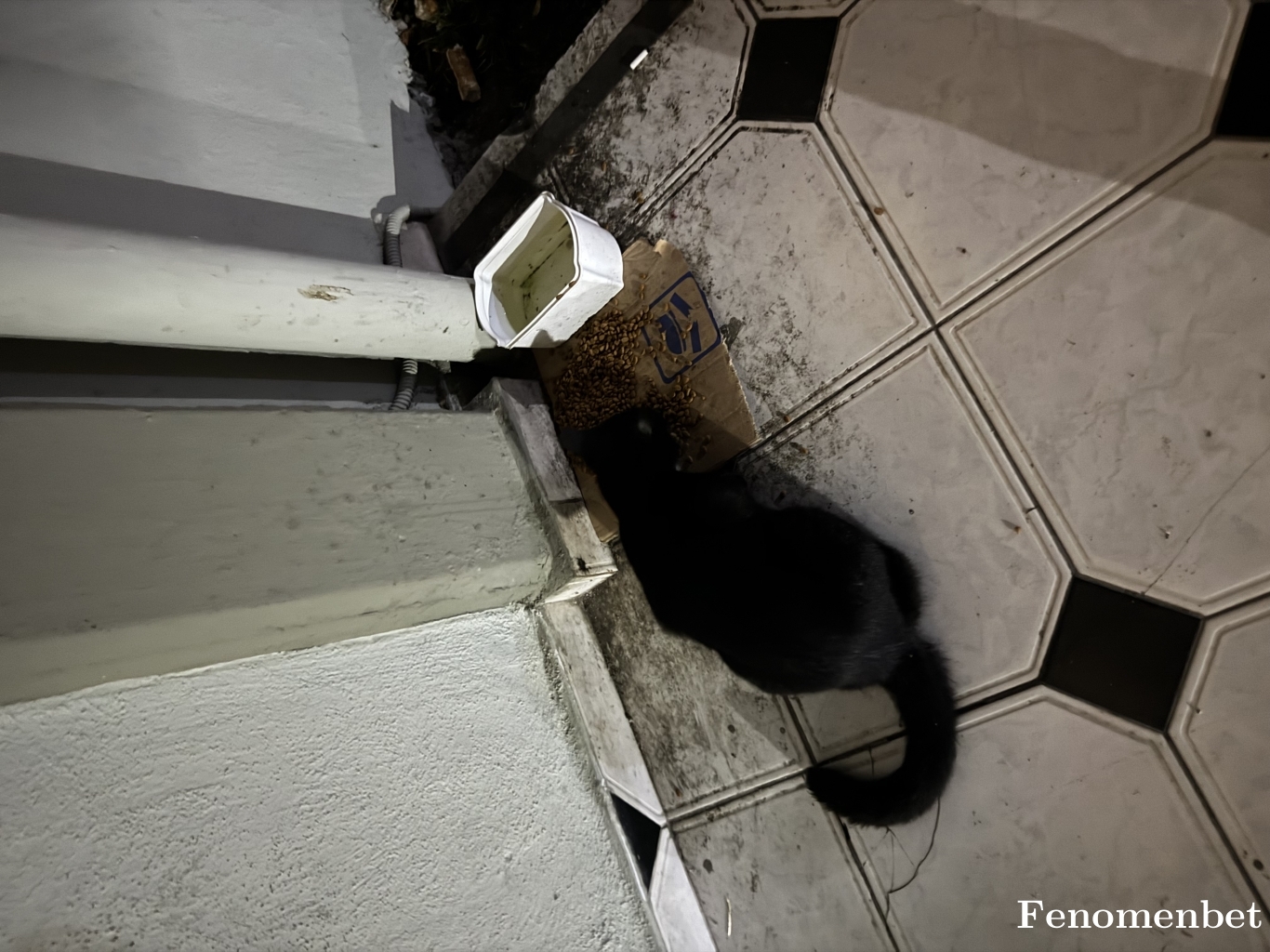 Gorkemxl tarafından paylaşıldı