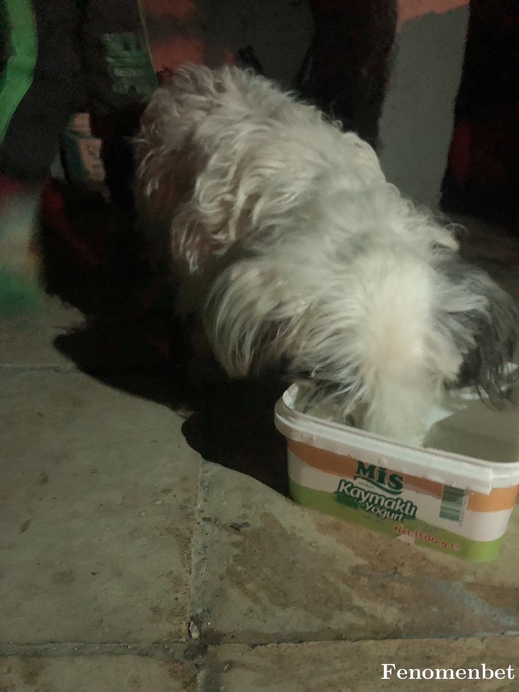 Melissa tarafından paylaşıldı