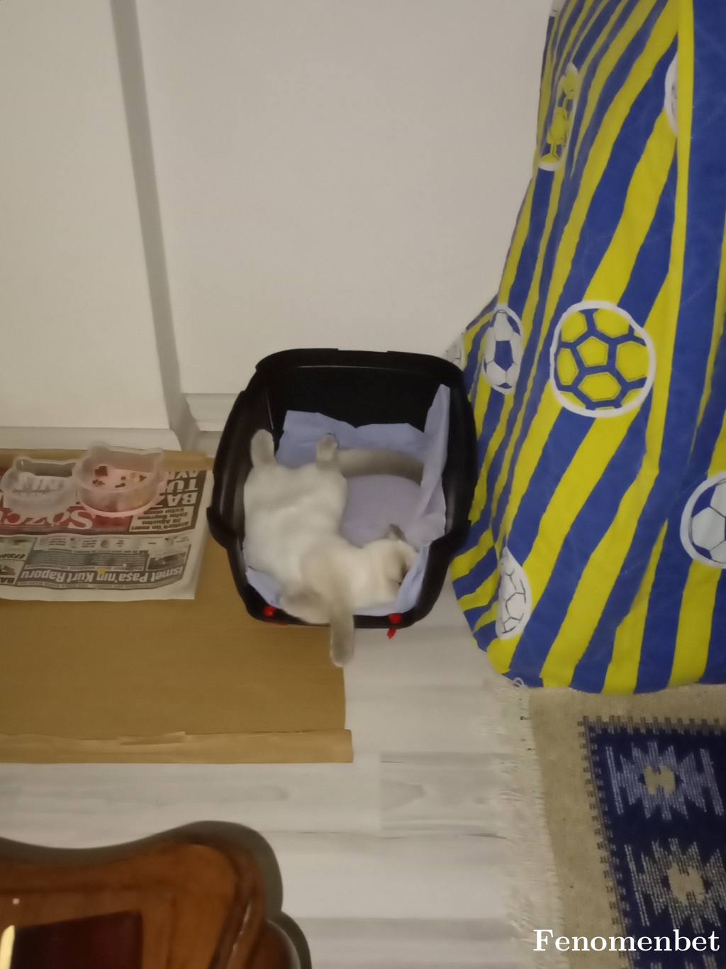 Yteksennn tarafından paylaşıldı