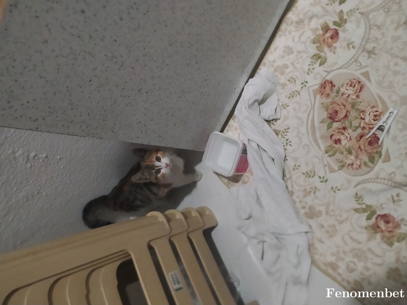 Sokrat3480 tarafından paylaşıldı