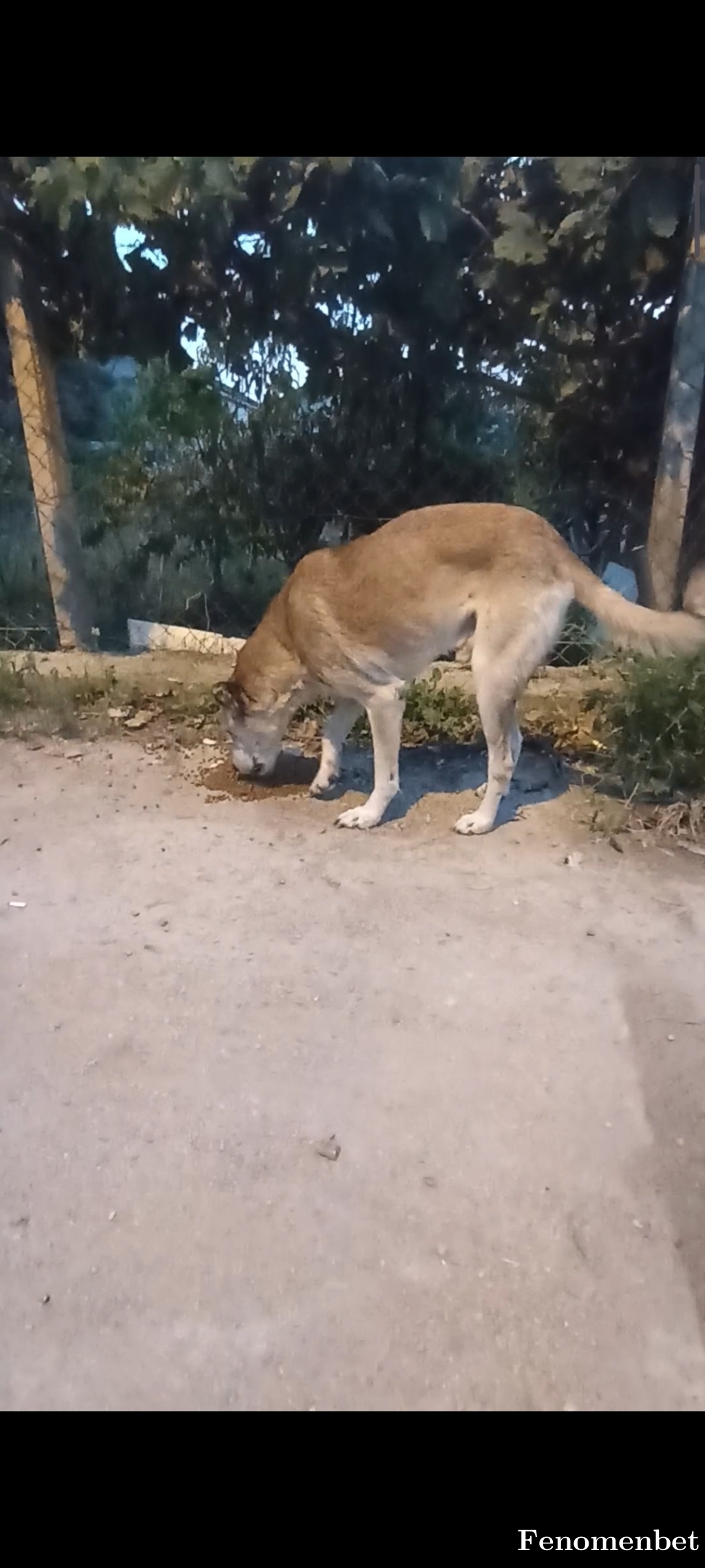 gizemk12 tarafından paylaşıldı