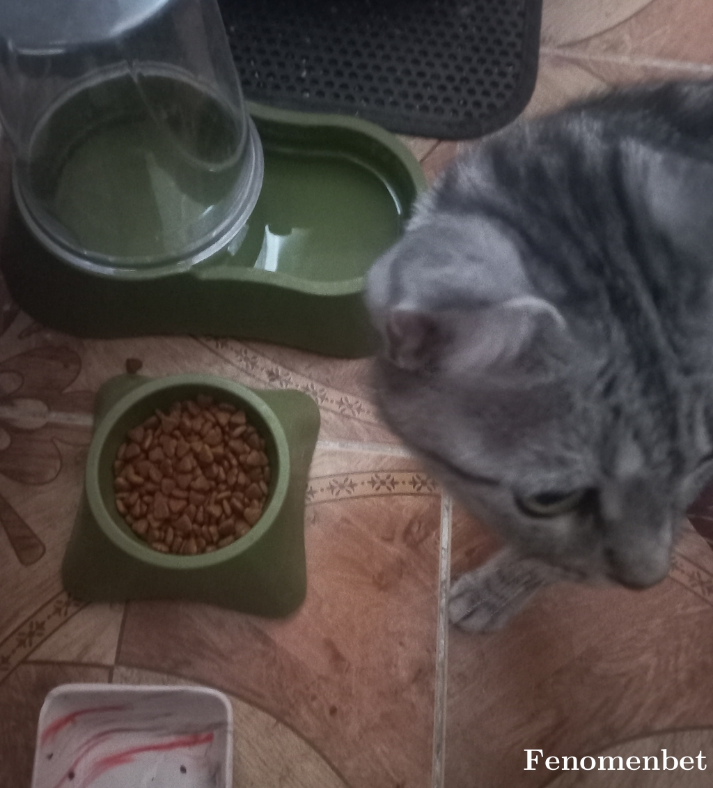 Behlul2304 tarafından paylaşıldı