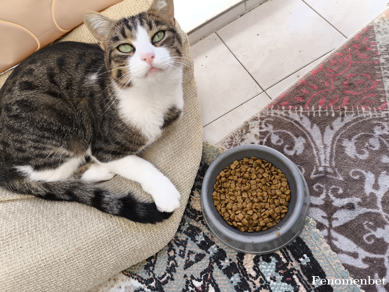 FisneMevsimi  tarafından paylaşıldı