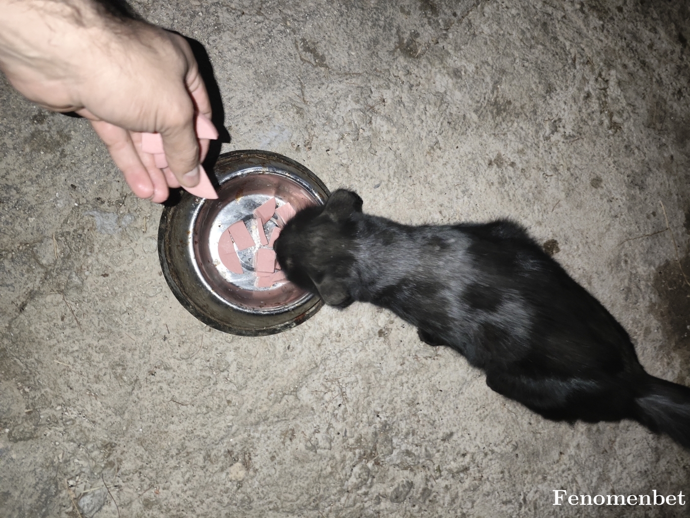 Hsmsk20 tarafından paylaşıldı