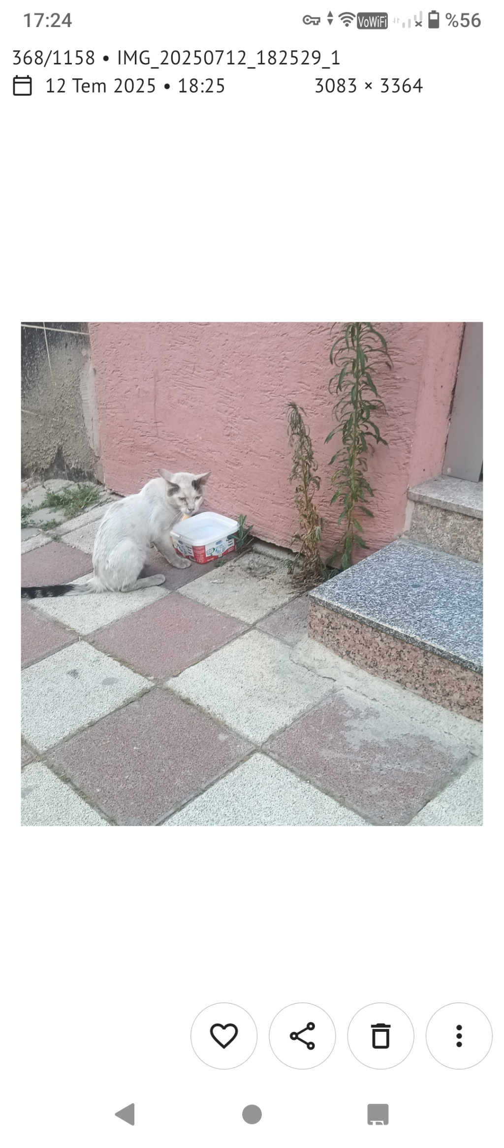 Engin3377 tarafından paylaşıldı