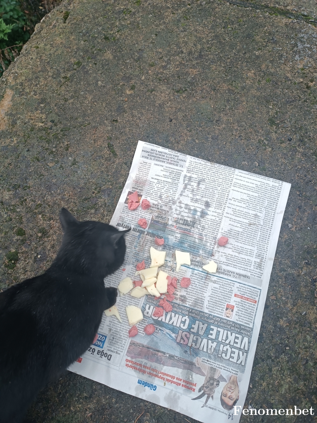 Lonax1905 tarafından paylaşıldı