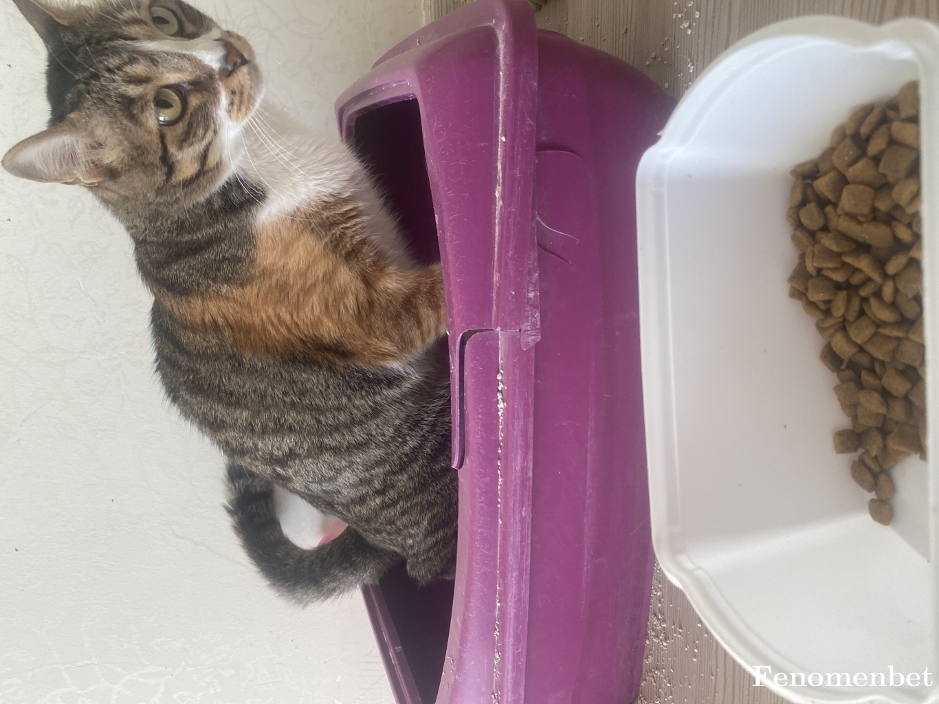 Berox63 tarafından paylaşıldı