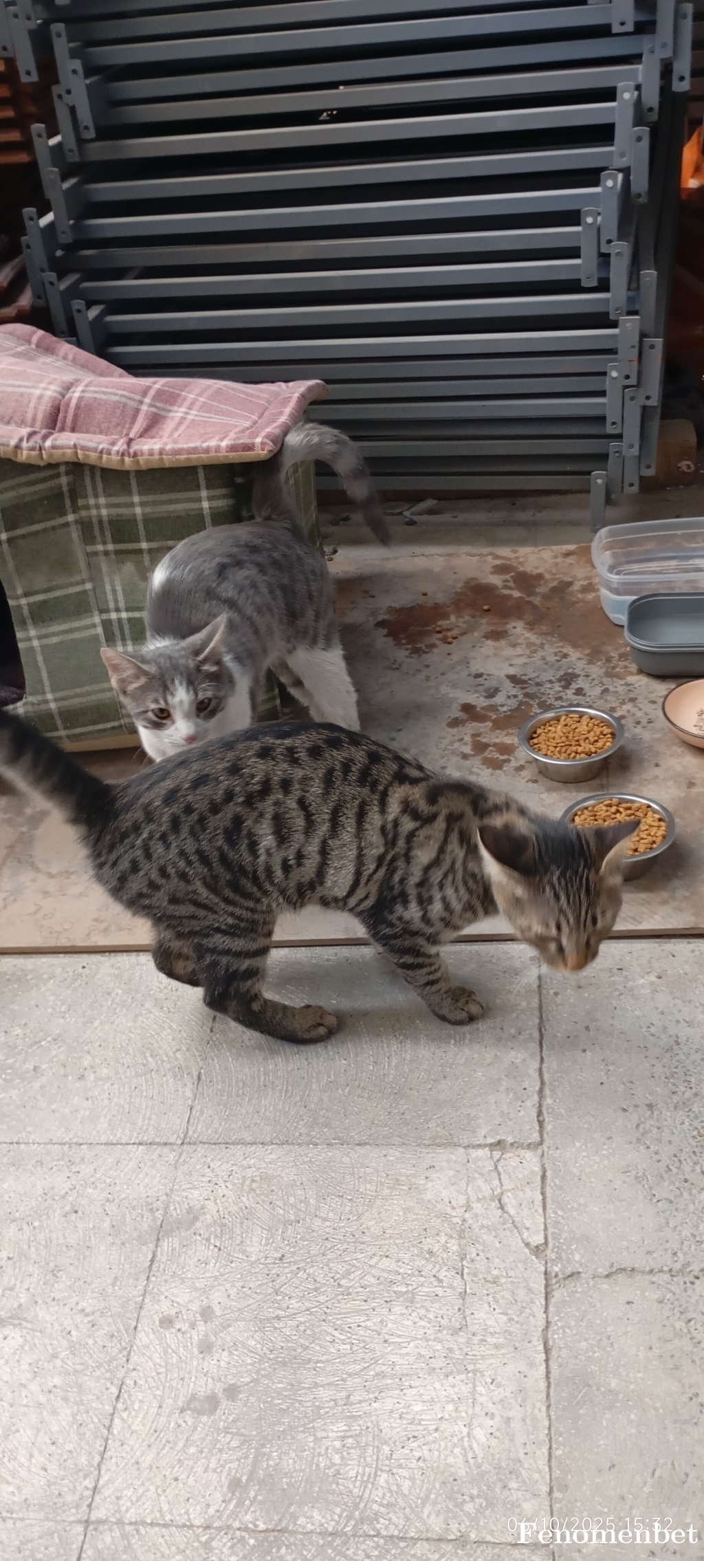 Karabey0606 tarafından paylaşıldı