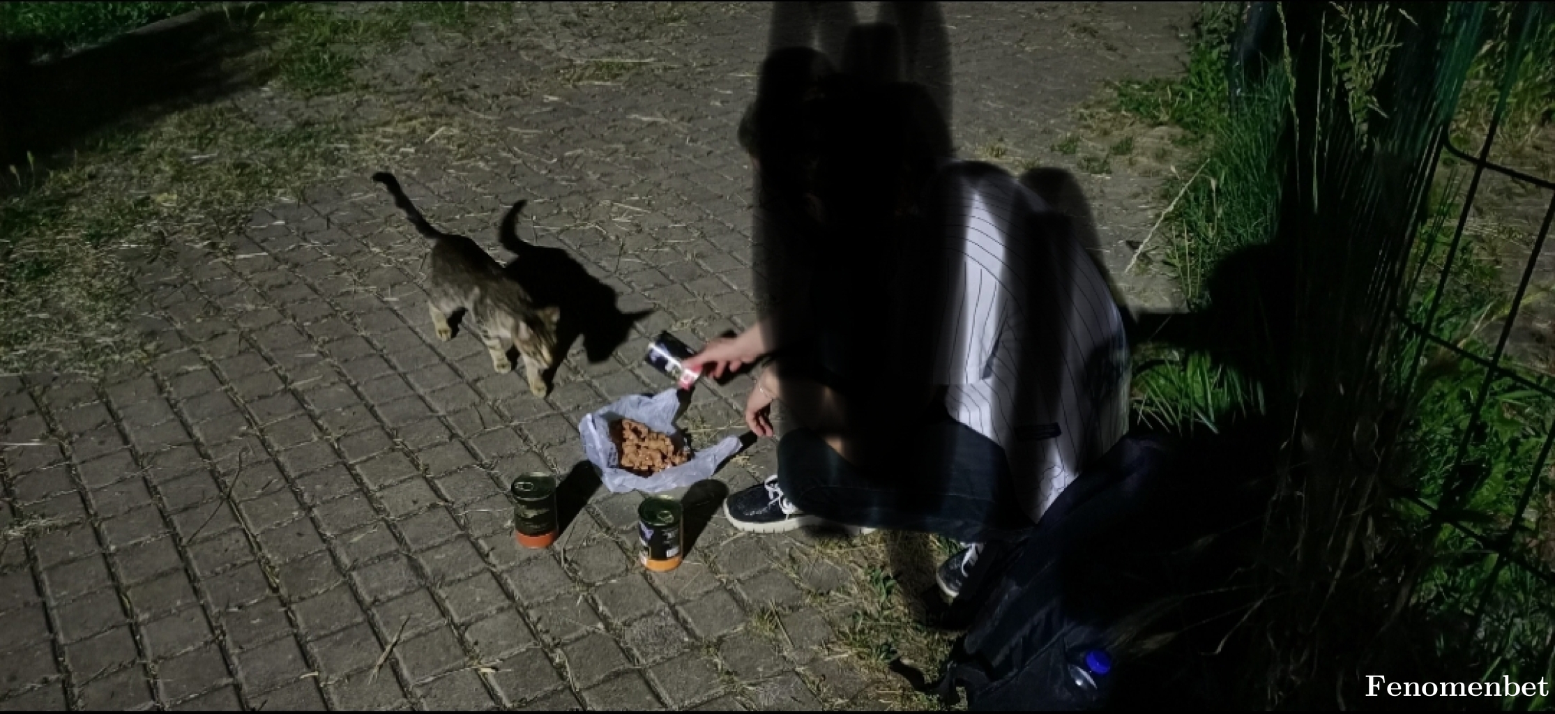 echoes tarafından paylaşıldı