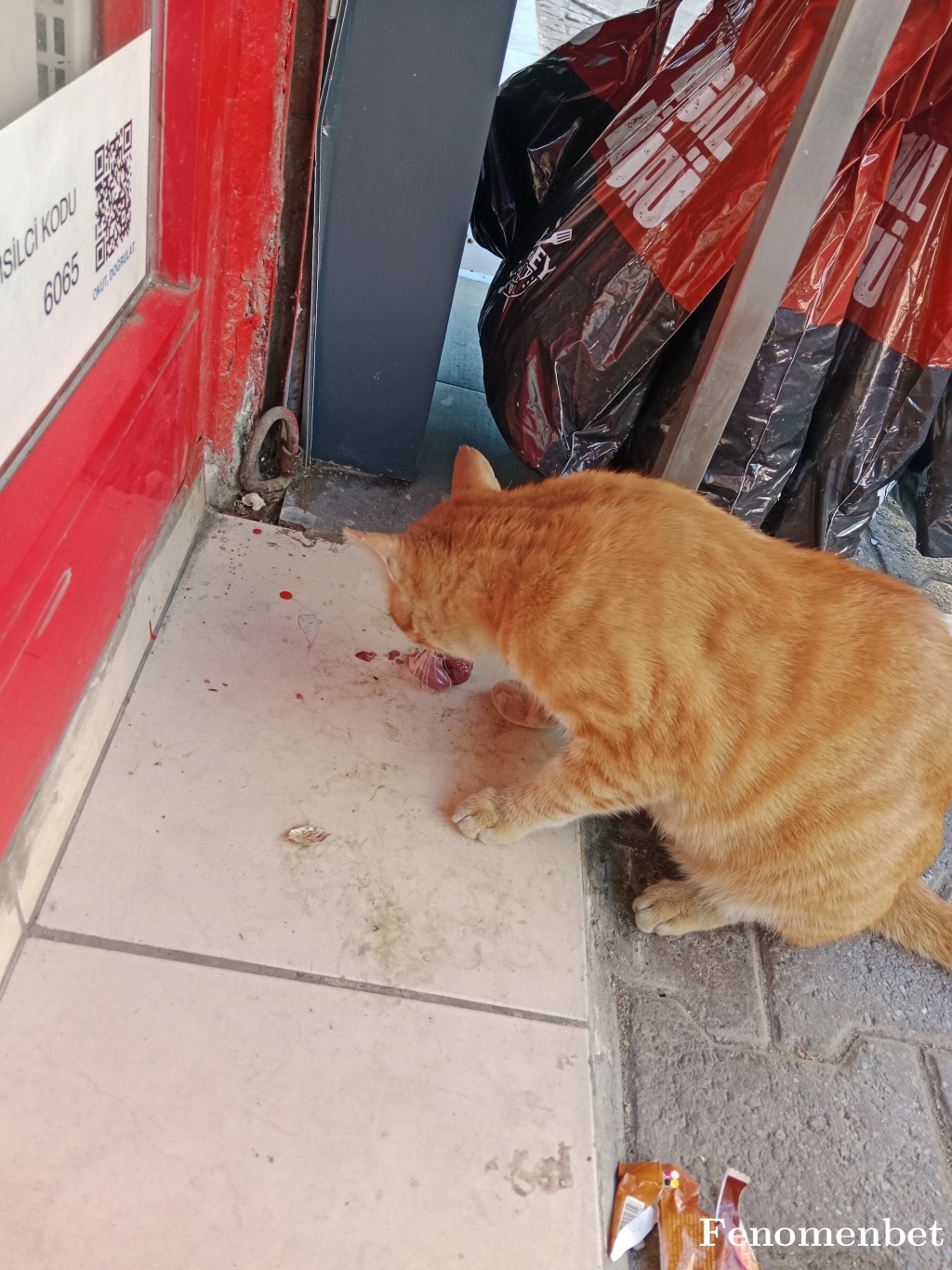 umuda8377 tarafından paylaşıldı