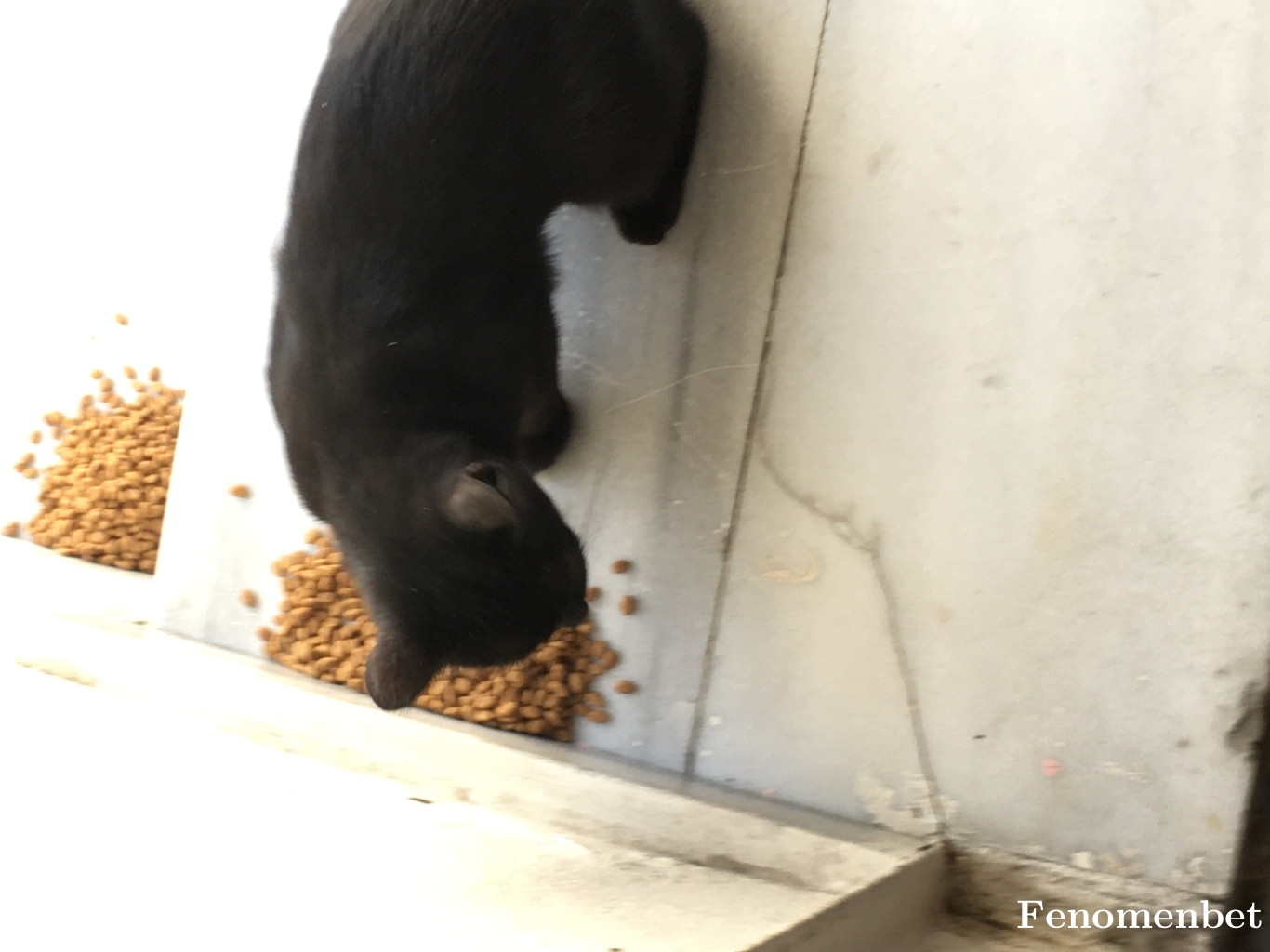 haydar2875 tarafından paylaşıldı