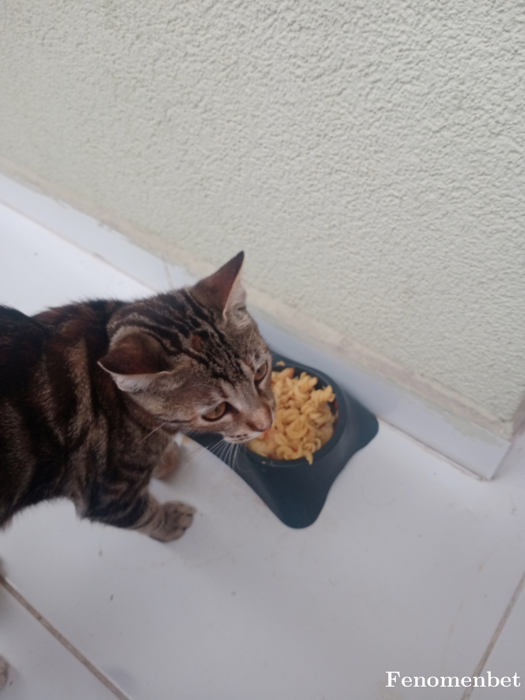 Paloma34 tarafından paylaşıldı