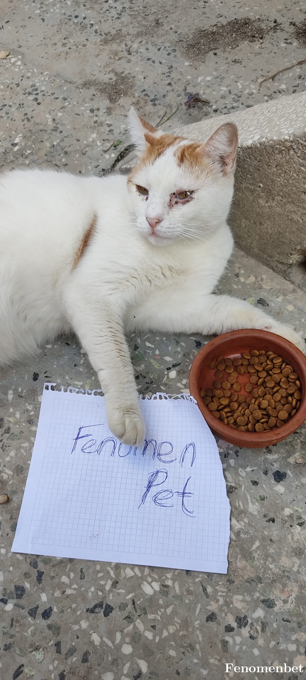 denizim55 tarafından paylaşıldı