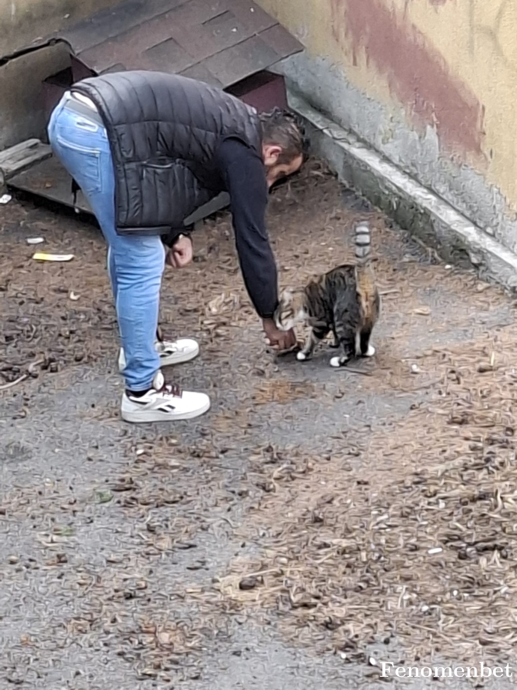 EmreK20 tarafından paylaşıldı