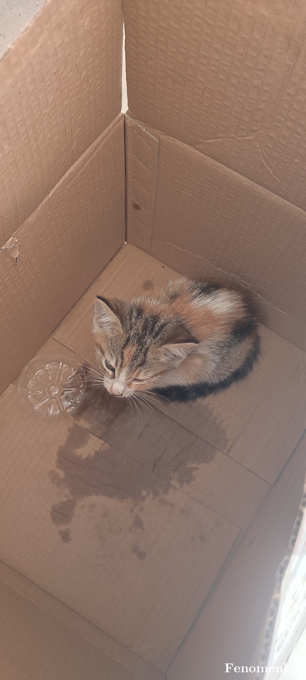 Deadlong tarafından paylaşıldı