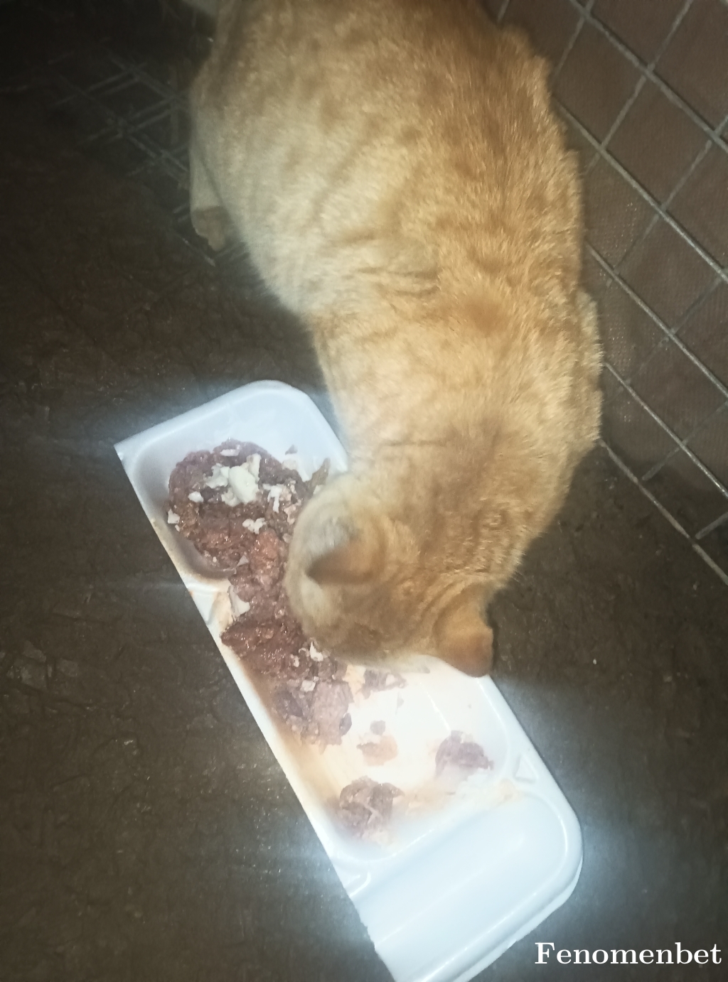 Vahitt tarafından paylaşıldı
