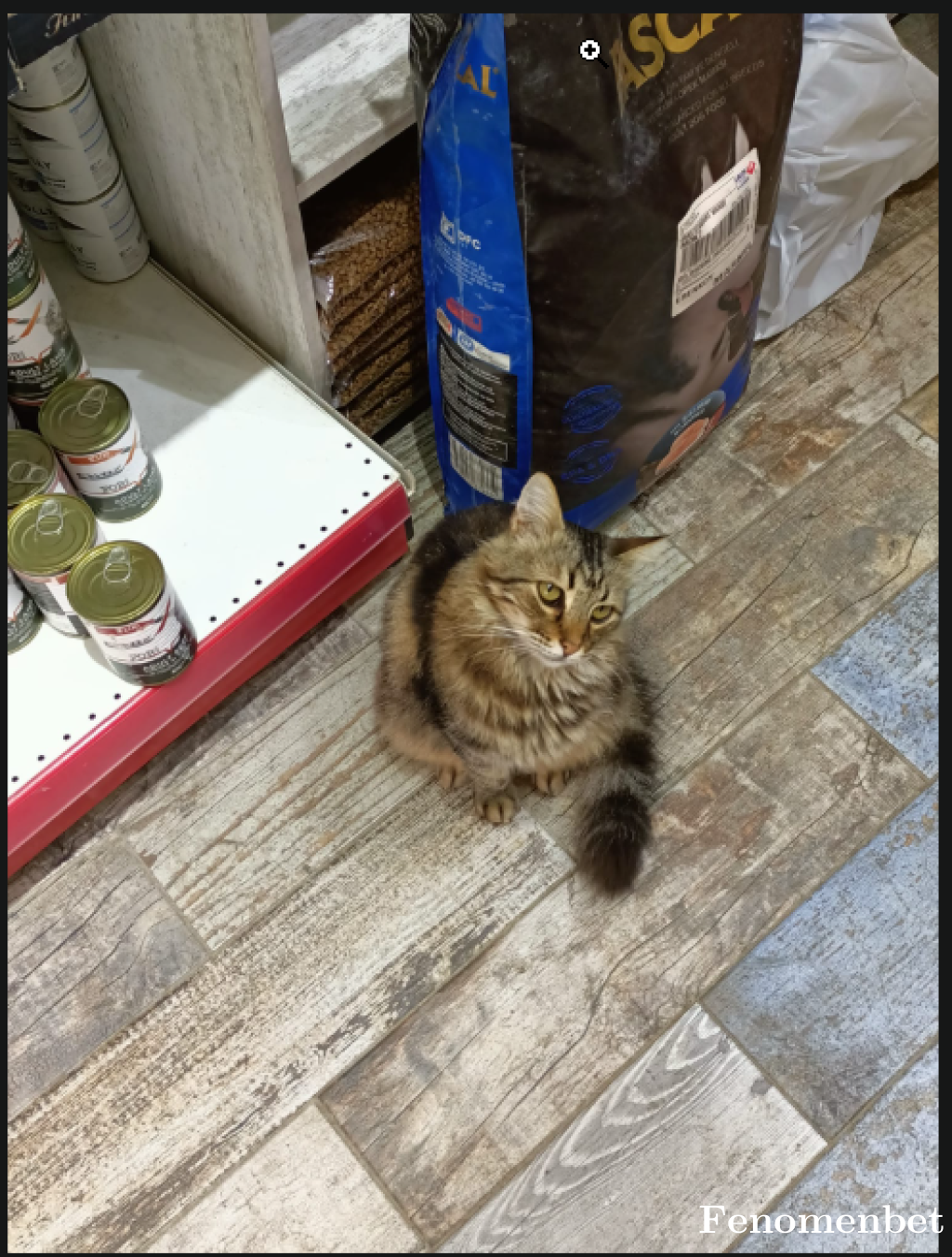 steinsgate tarafından paylaşıldı