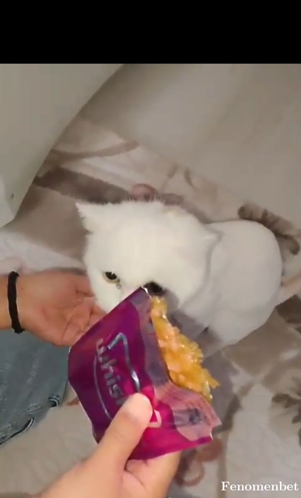 Kadirnas1 tarafından paylaşıldı