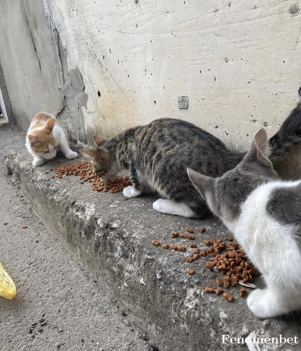 Nesrinbagci tarafından paylaşıldı