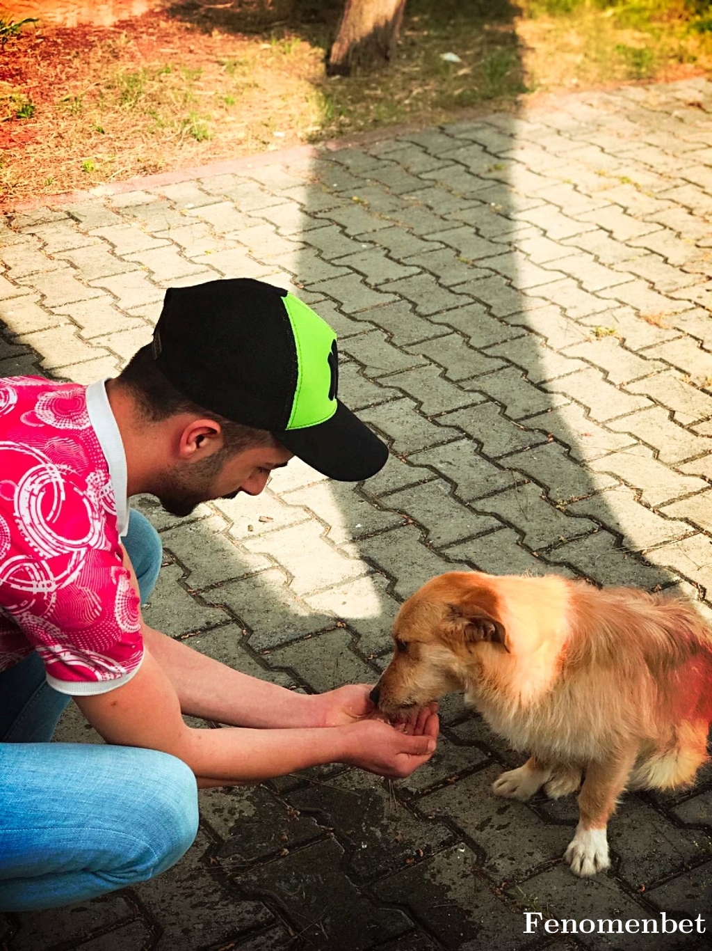 Etmpk18  tarafından paylaşıldı