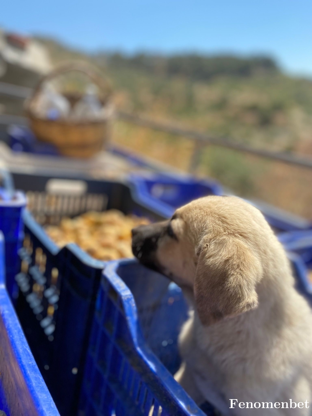 Ydmr123 tarafından paylaşıldı