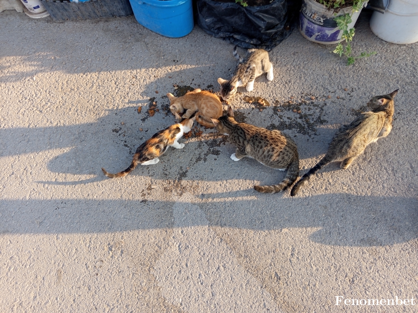 Hatice3480 tarafından paylaşıldı